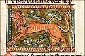 pardus