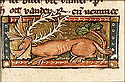 rangium