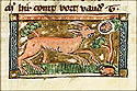 tygrus