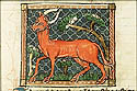 taurus