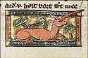 unicornus