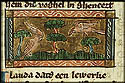 alauda