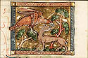 ariofelon