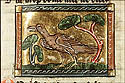 botosia