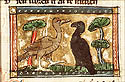 coretes