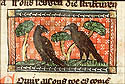 cornix