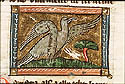 dariata
