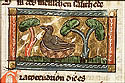 gracocendrion