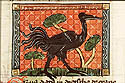 grus