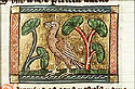 garrulus