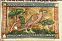 karolus