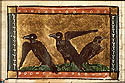 sturnus