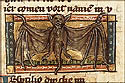vespertilio