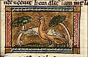 upupa