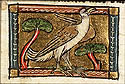 vultur