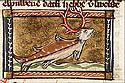 cervus marinus