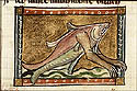 ceruleus