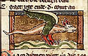 draco