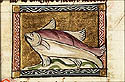 delfin