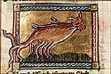 eleus