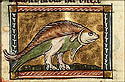 fastaleon
