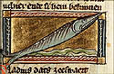 gladius maris