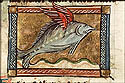 kuligo