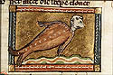 monachos maris