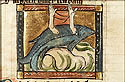 nautilus