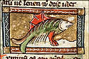 thunnus