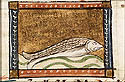 aureum vellus