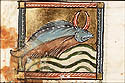 Babilonice pisces