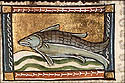 carpeta