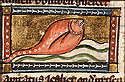 capitatus