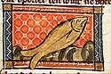 esox
