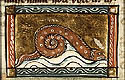 murena