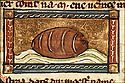 ostra