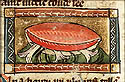 pina