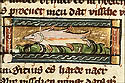 pungicius