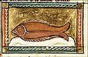 salpa