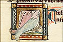 trebius
