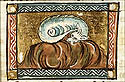 aspis