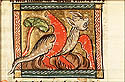 draco
