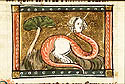 draconcopes