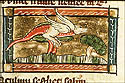 iacolum