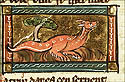 nadrix