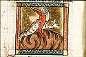 sirene