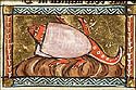 tortuca