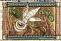 bombax