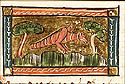 brutus